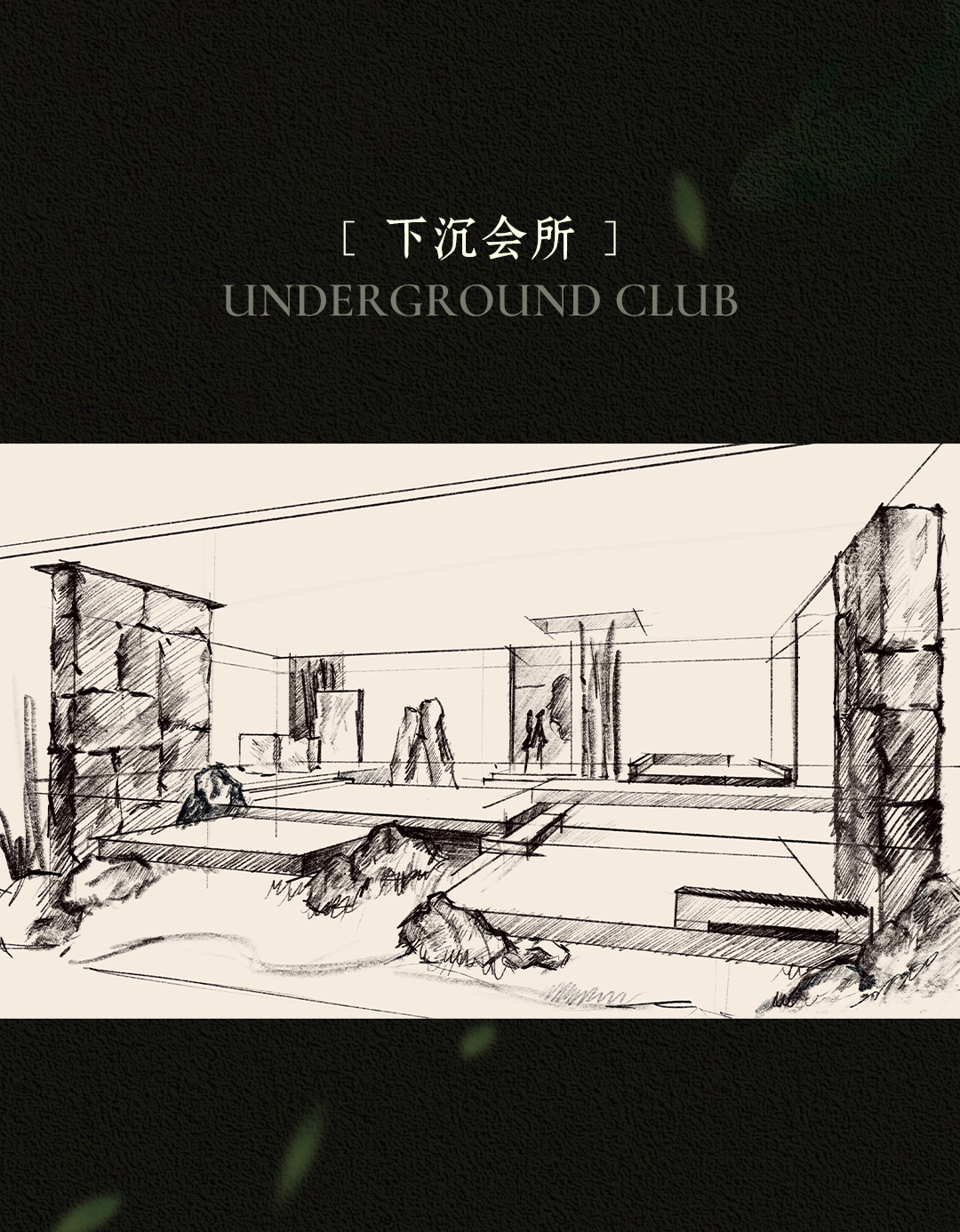 新作 自然之下的无界洄游丨紫香舸-22