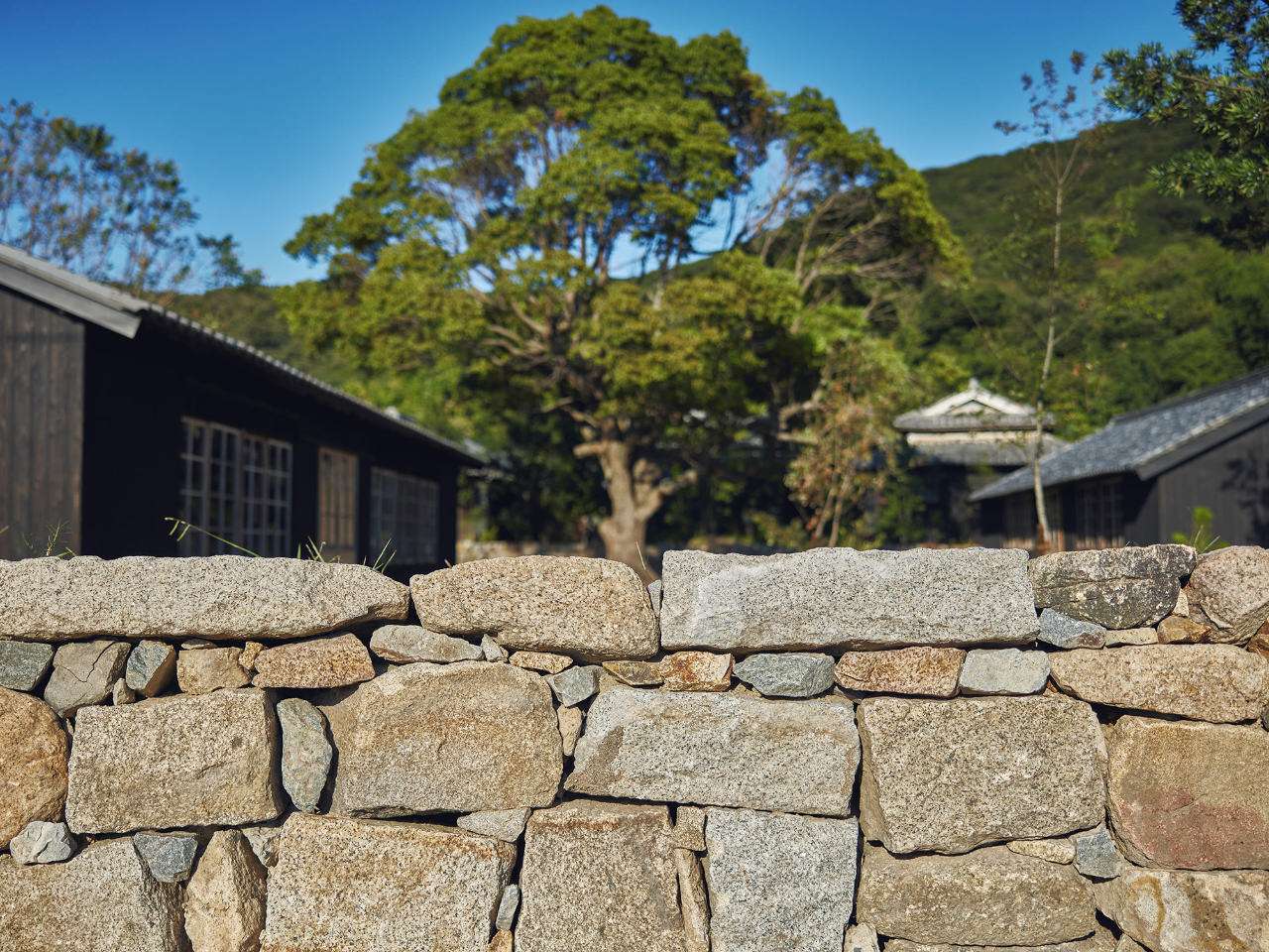 本岛避难所丨日本丨Makoto Yamaguchi-88