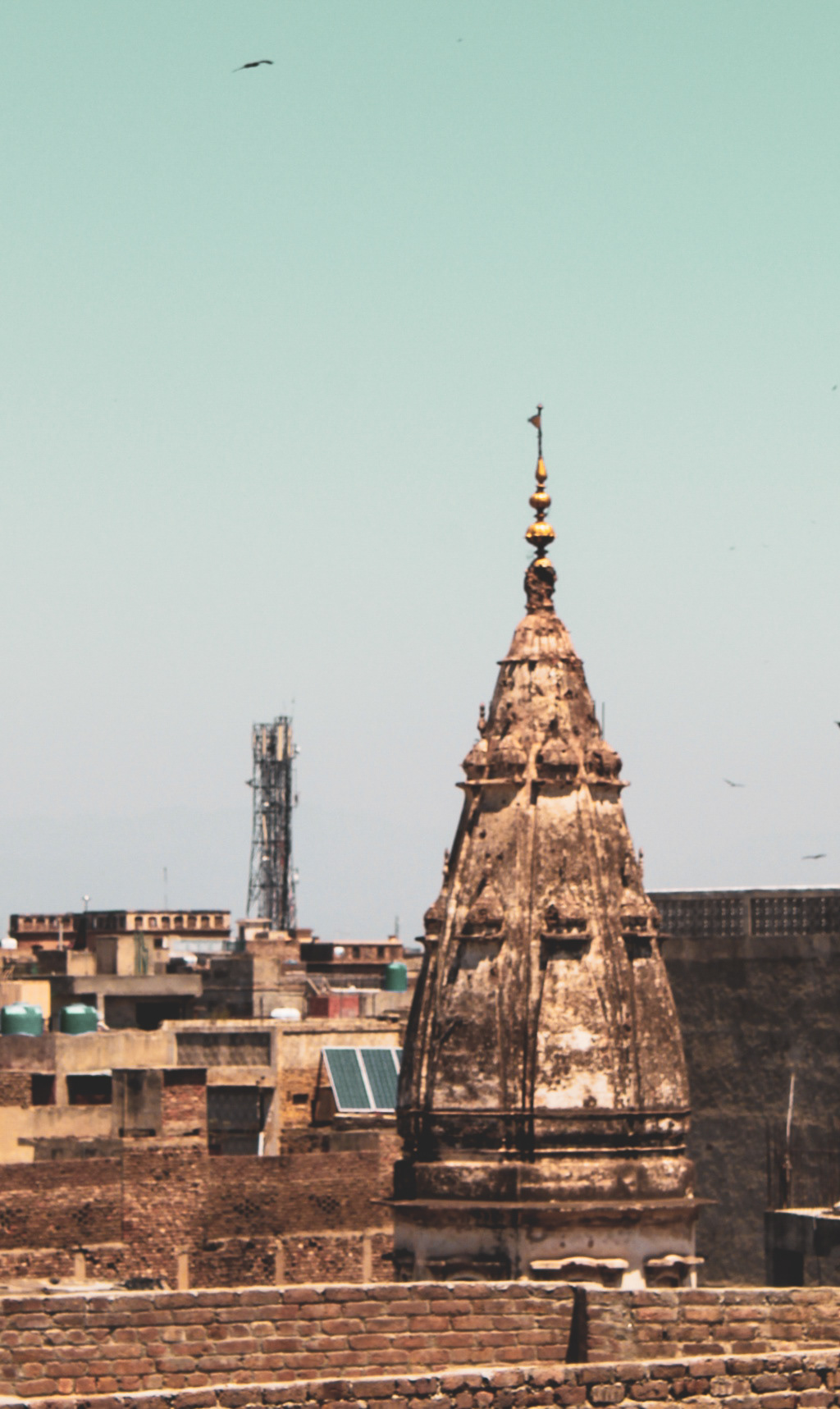 Activity 6 Rule of composition II-0