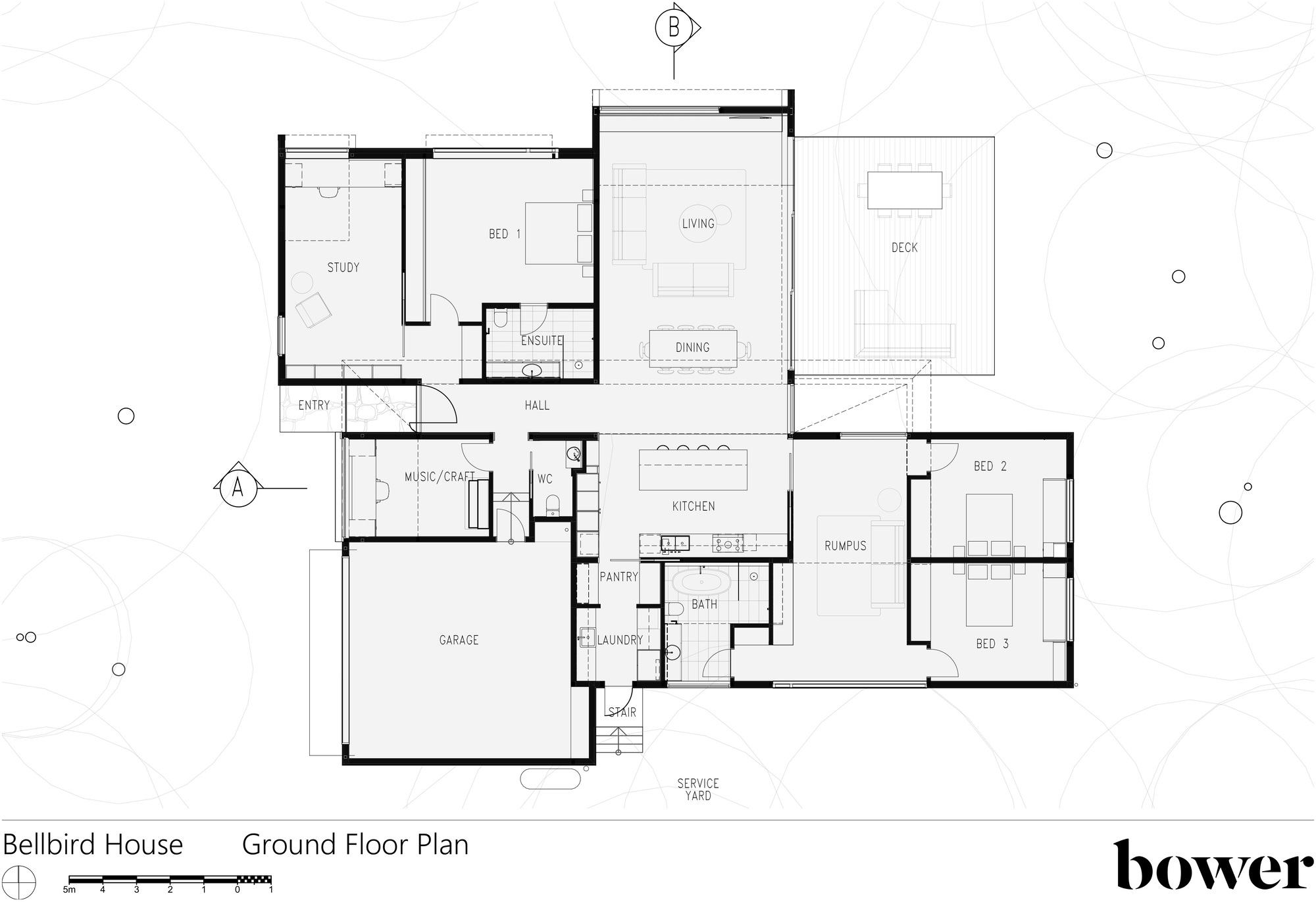 铃鸟屋丨澳大利亚丨Bower Architecture-17