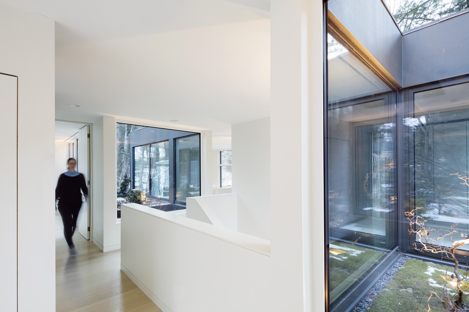 列克星敦的"生长盒子"-43