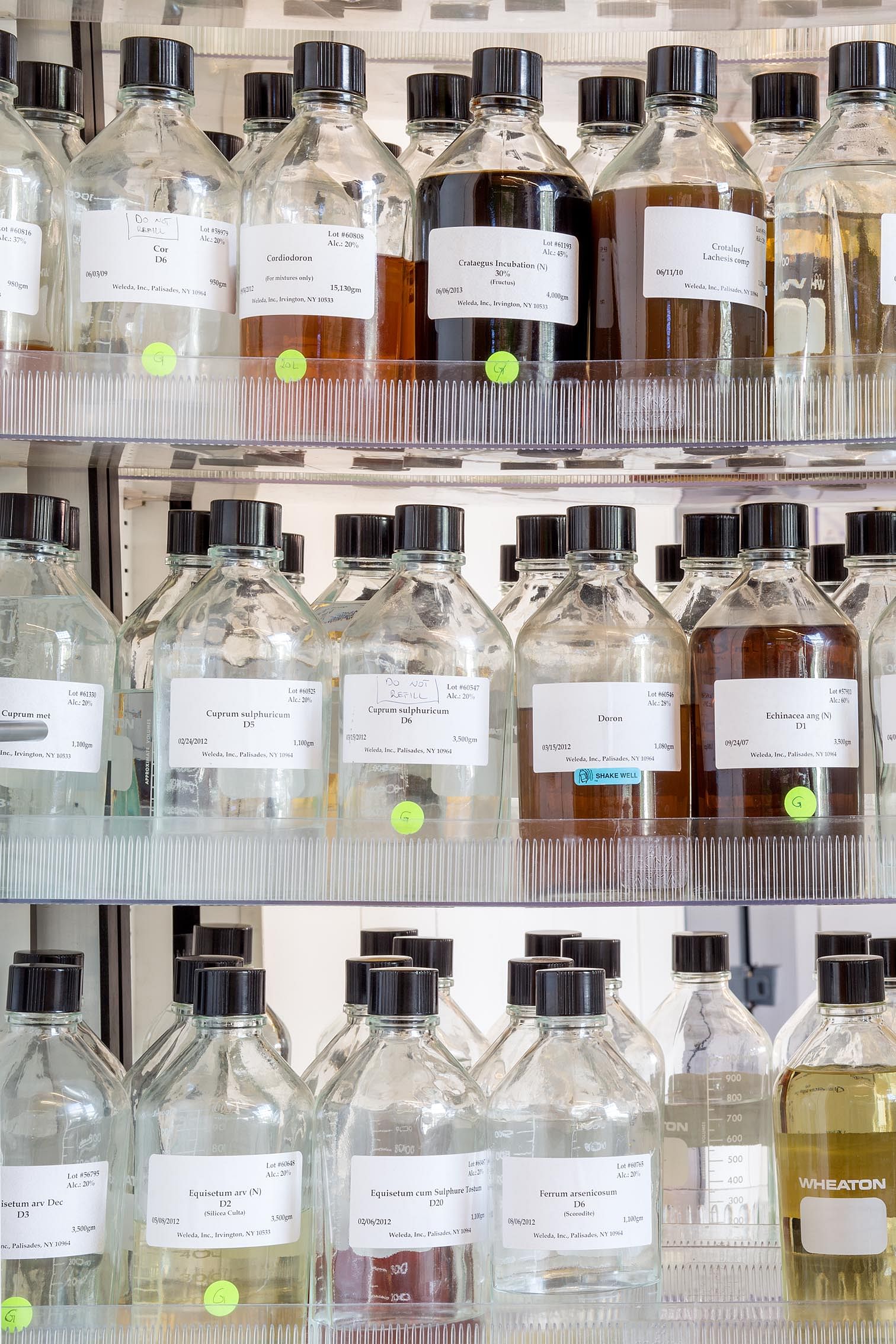 Weleda北美总部室内设计丨美国奥斯汀丨Specht Harpman-17