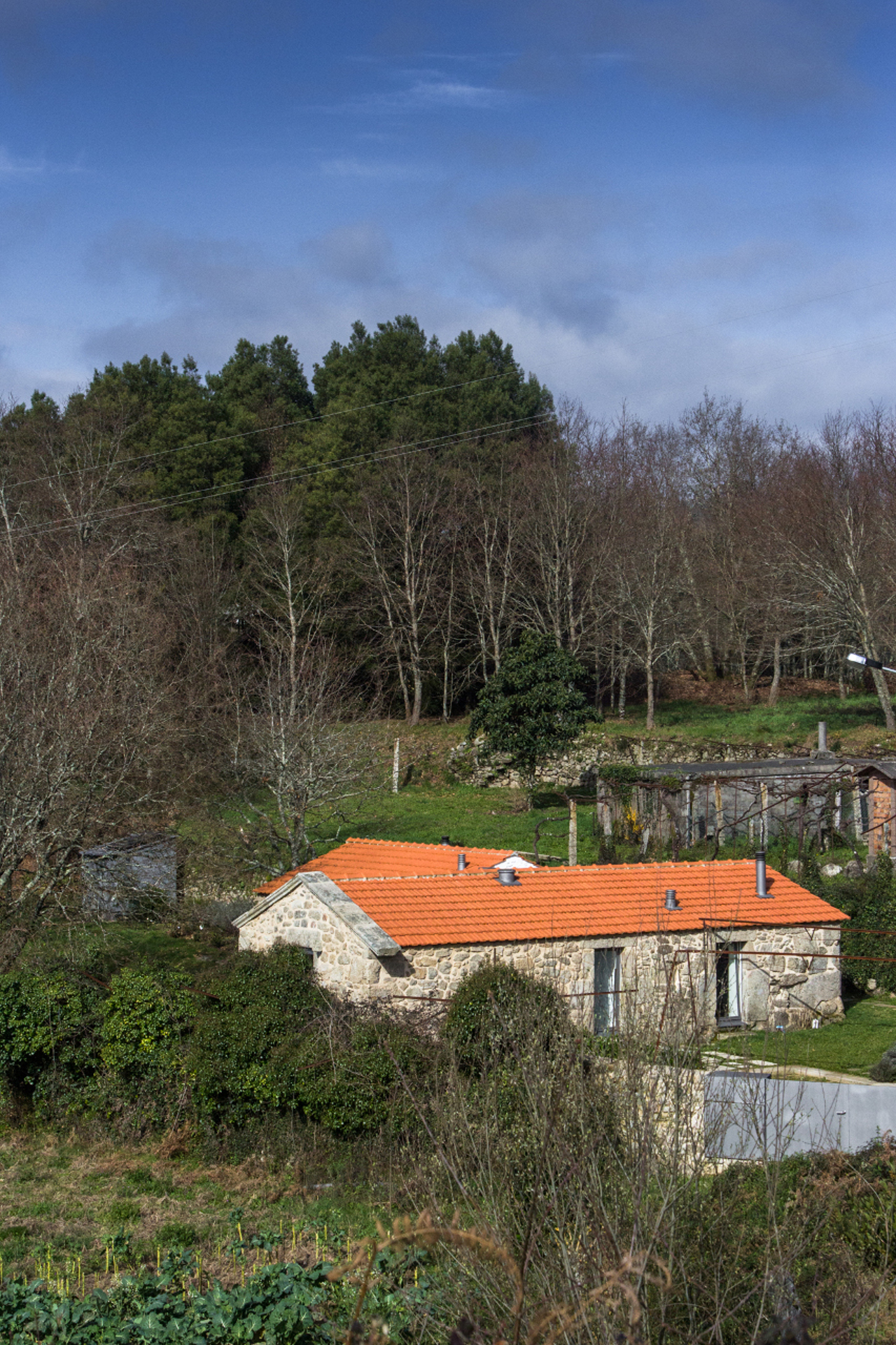 葡萄牙乡村民宿-6