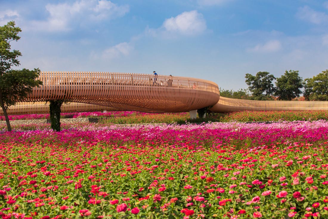 宿迁三台山花田织锦丨中国宿迁丨土人设计（Turenscape）-42