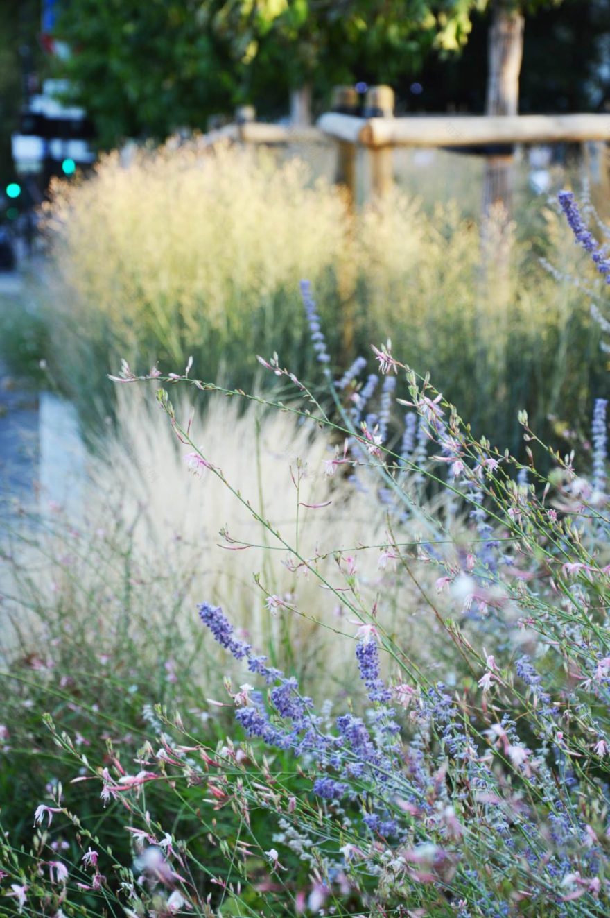 Place Hérold及l’Abbé Pierre前广场改造项目丨atelier VILLES & PAYSAGES等-24