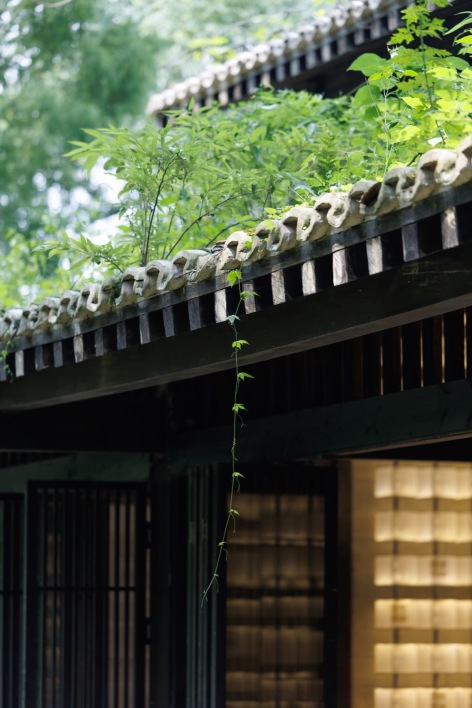 文翁祠更新丨中国四川丨UN GROUP未集建筑-104