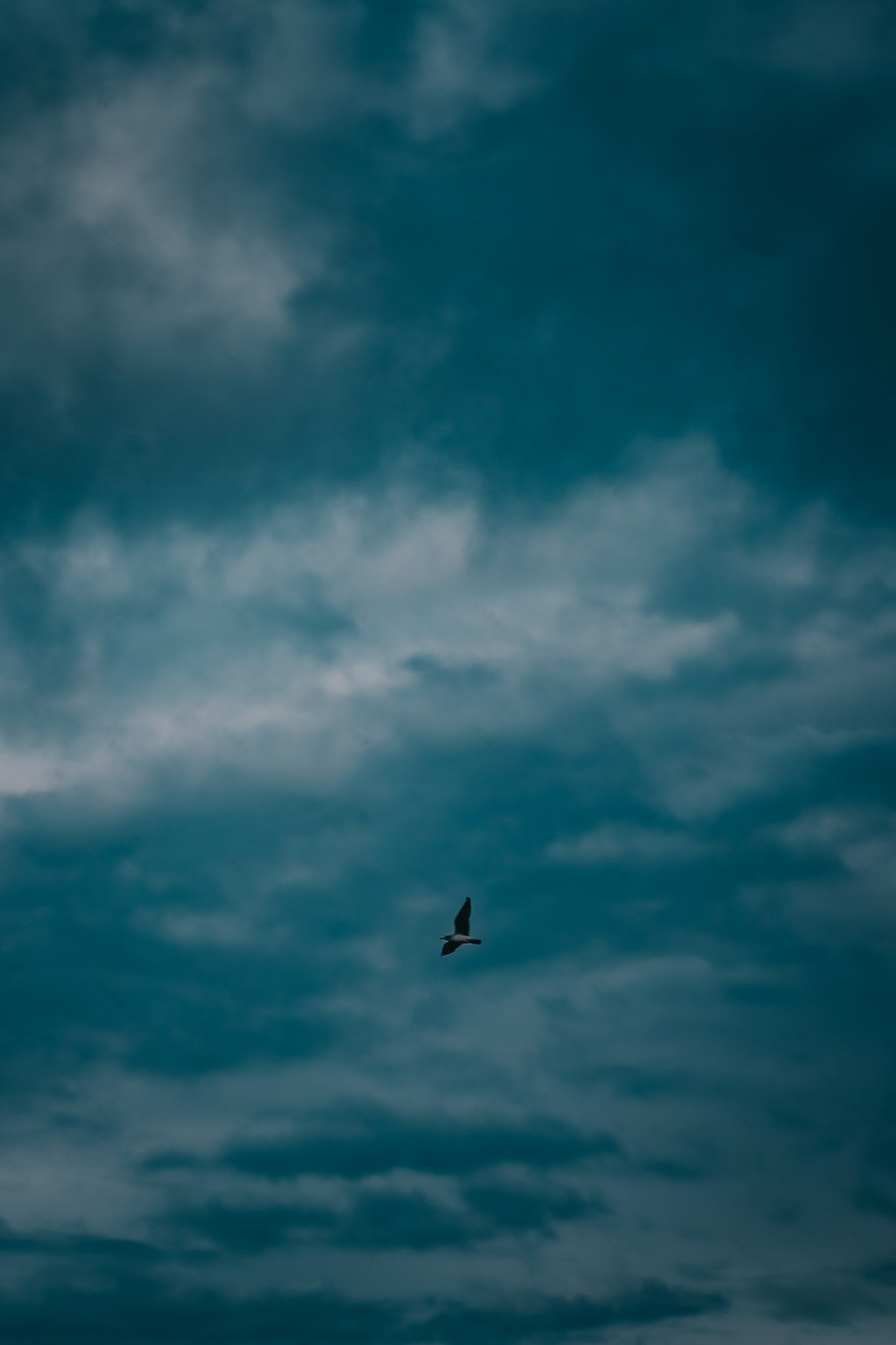 海洋与沙滩摄影作品丨rach_vdb 和 hash_yan-11