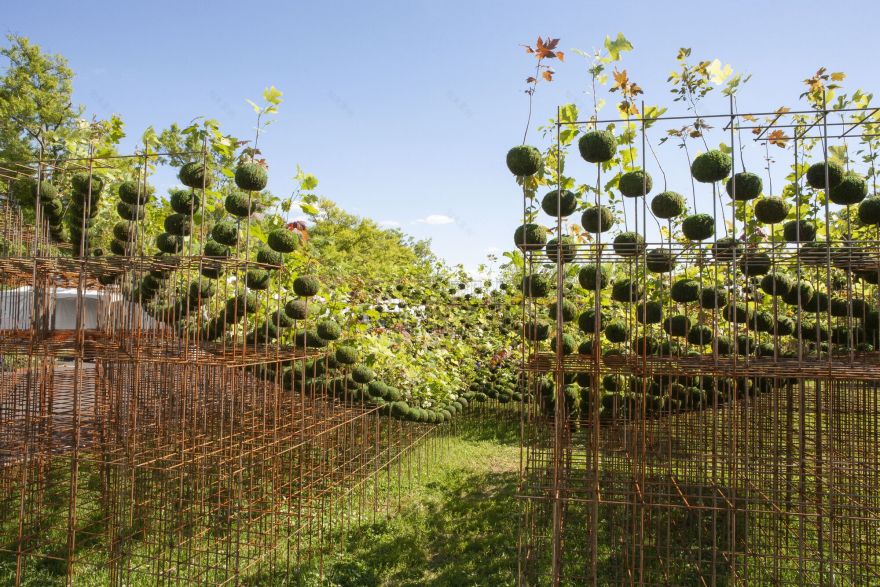 Kokedama Forest Installation,可持续微型森林雕塑-3