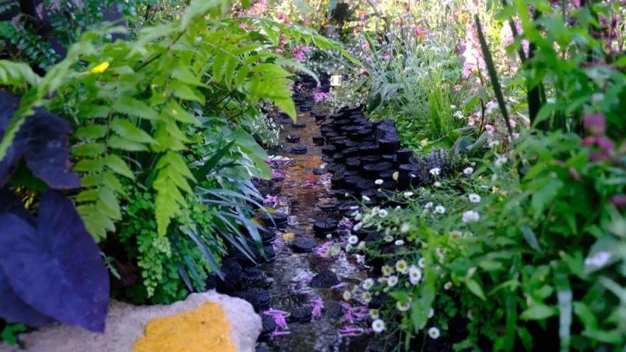 绮云书香|2024粤港澳大湾区花展宝安区城市花园-169