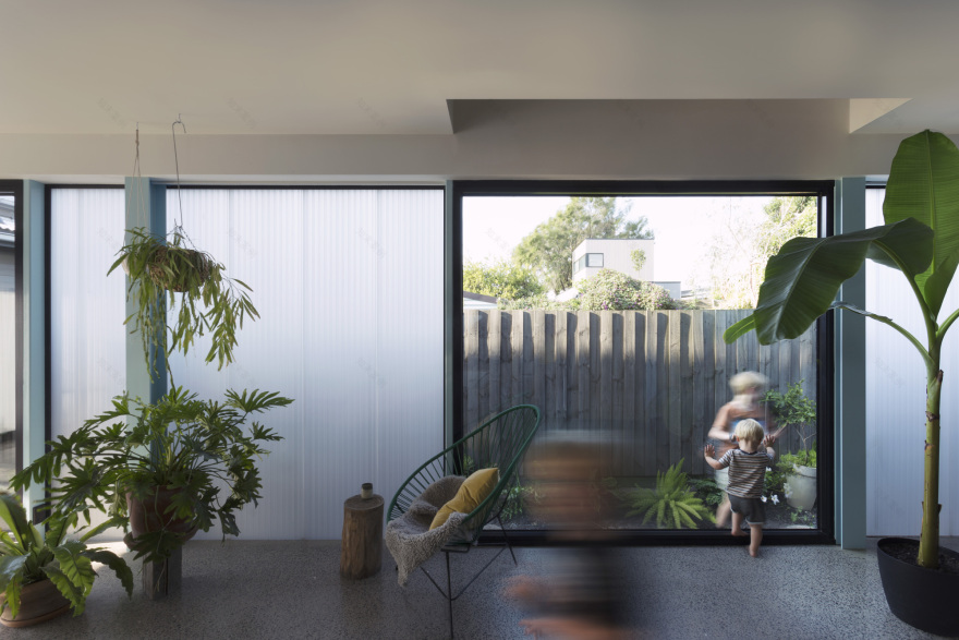 温莎城堡丨澳大利亚丨Antarctica-9