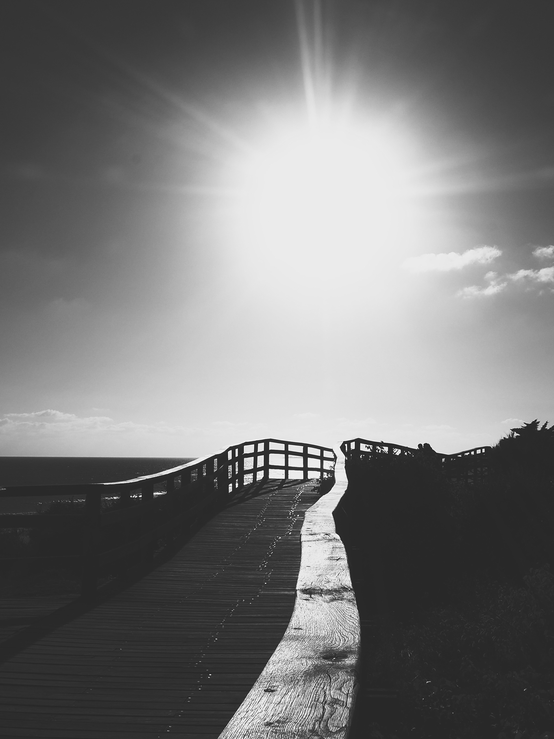 Île de Ré • 2024-15