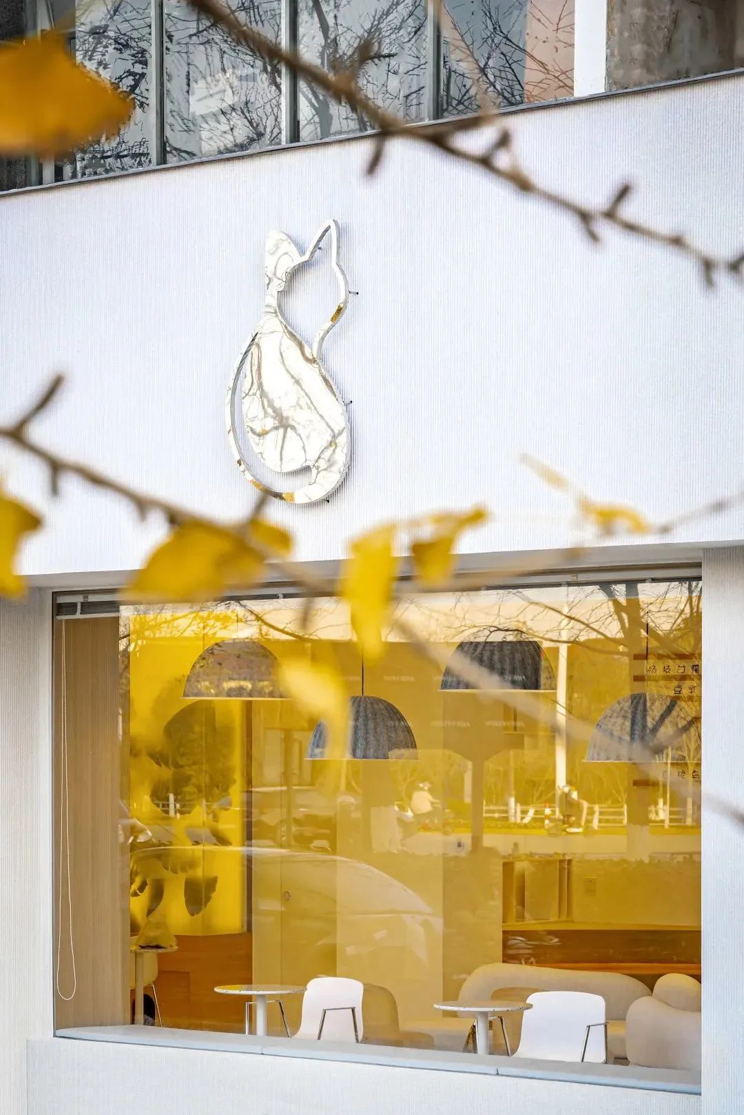 来自铲屎官的宠爱，一个高颜值人气猫咖-15