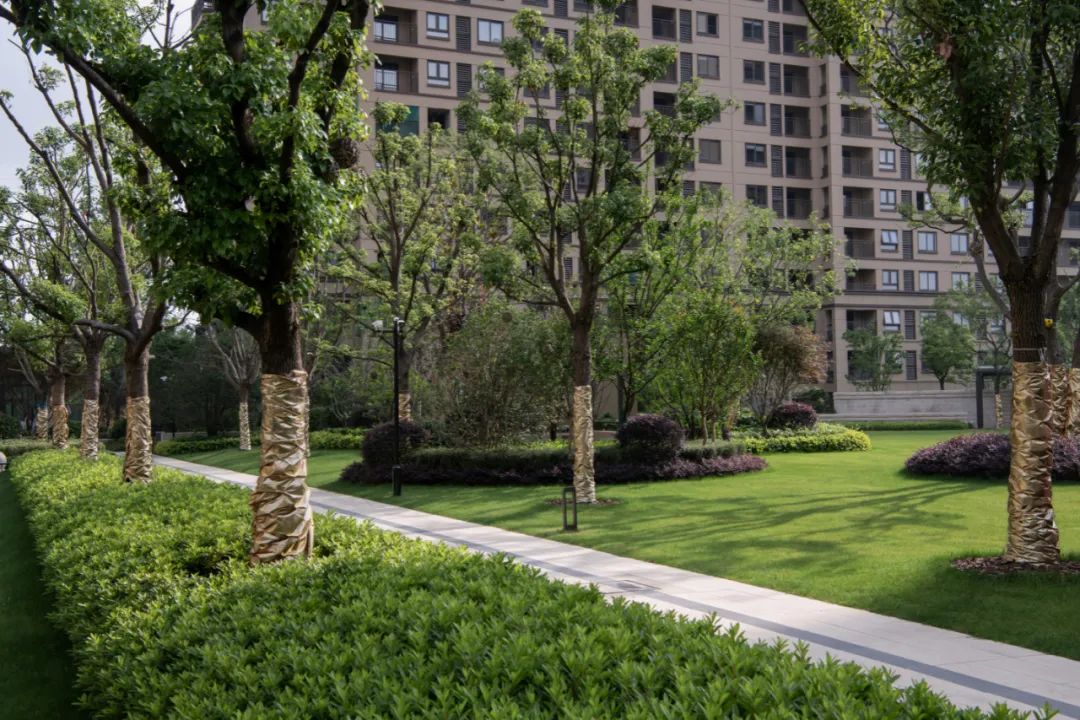 绿地象屿·德馨嘉苑 | 打造有温度的理想社区-127