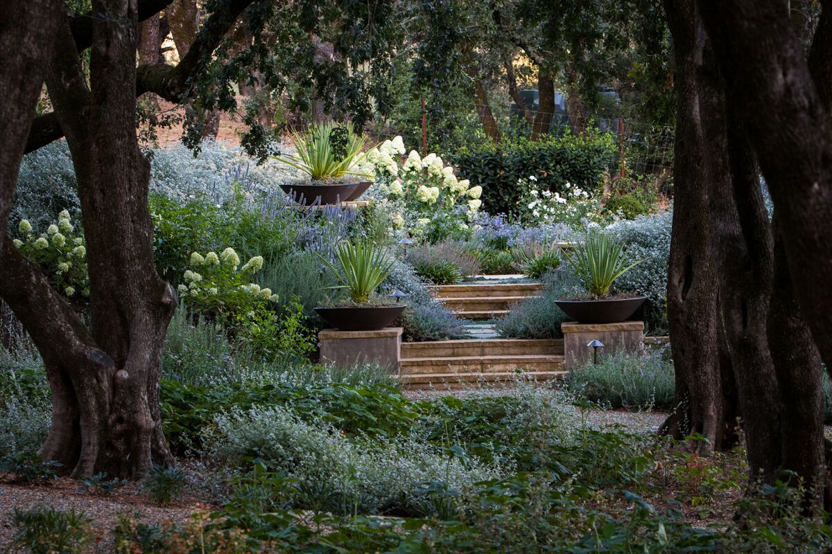 加州索诺马,现代经典庄园 / Lucas & Lucas-12