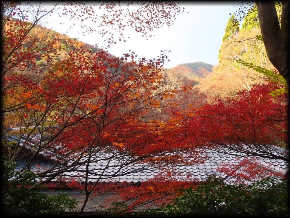 瑠璃光院（旧高级旅馆「喜鶴亭」）丨日本京都-49