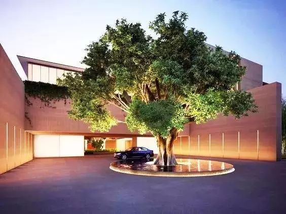 园林景观植物绿化设计方法解析-4