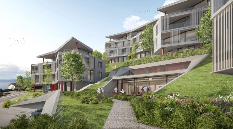 MFH 里吉布利克住宅丨瑞士丨OVA Studio GmbH-6