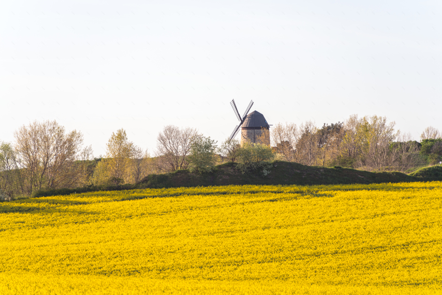哈茨山樱花春日童话景观体验丨德国-21