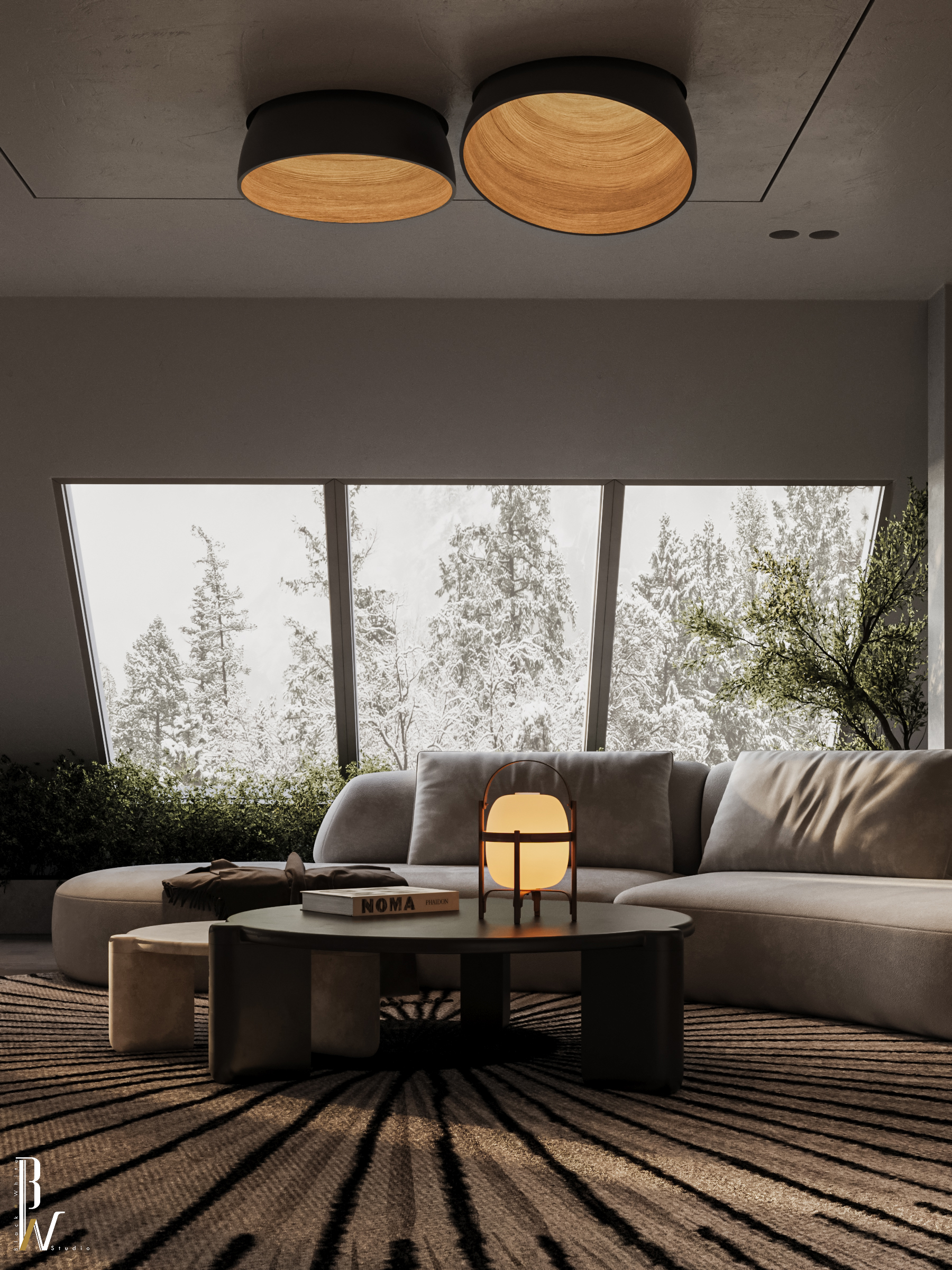 坡顶房屋居住区域丨英国曼彻斯特丨Black N White-20