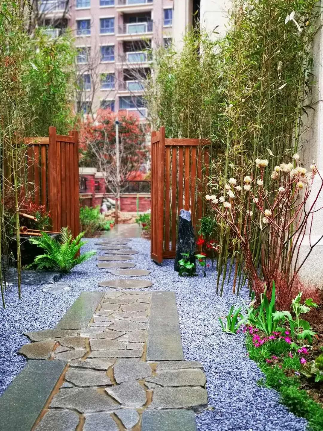 禅意花园里植物的那些事-65