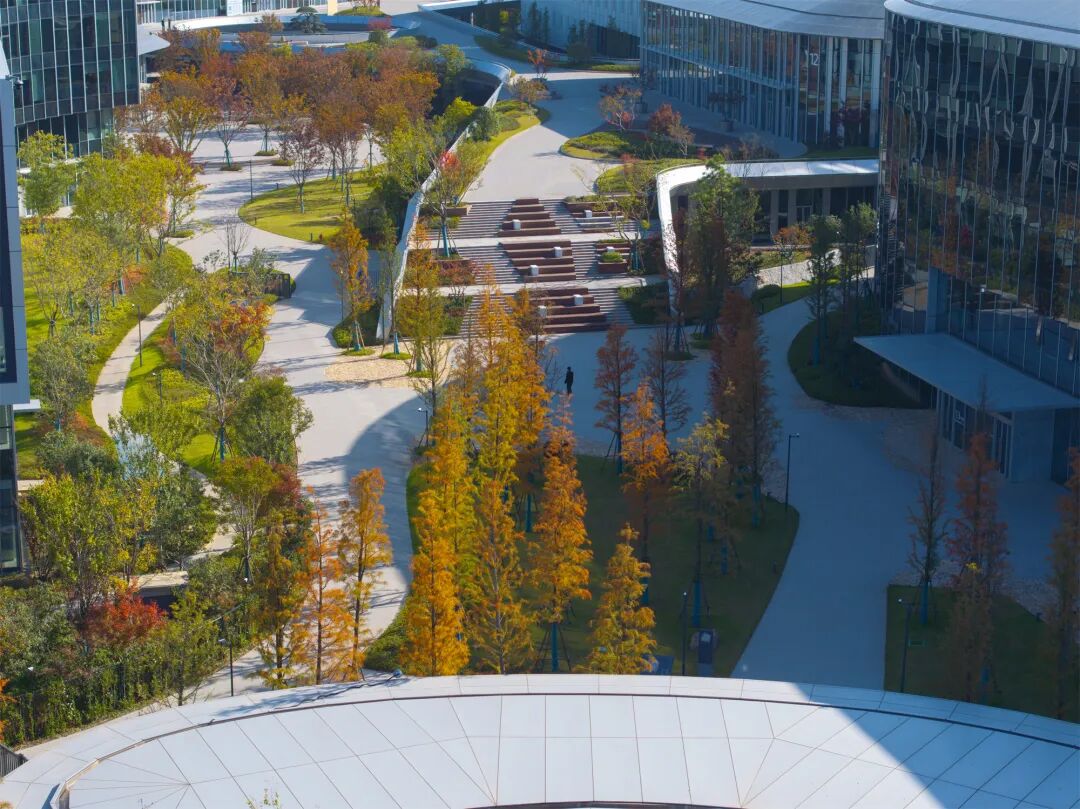 阿里巴巴南湖未来科学园丨中国杭州丨阿普贝思UP+S-36