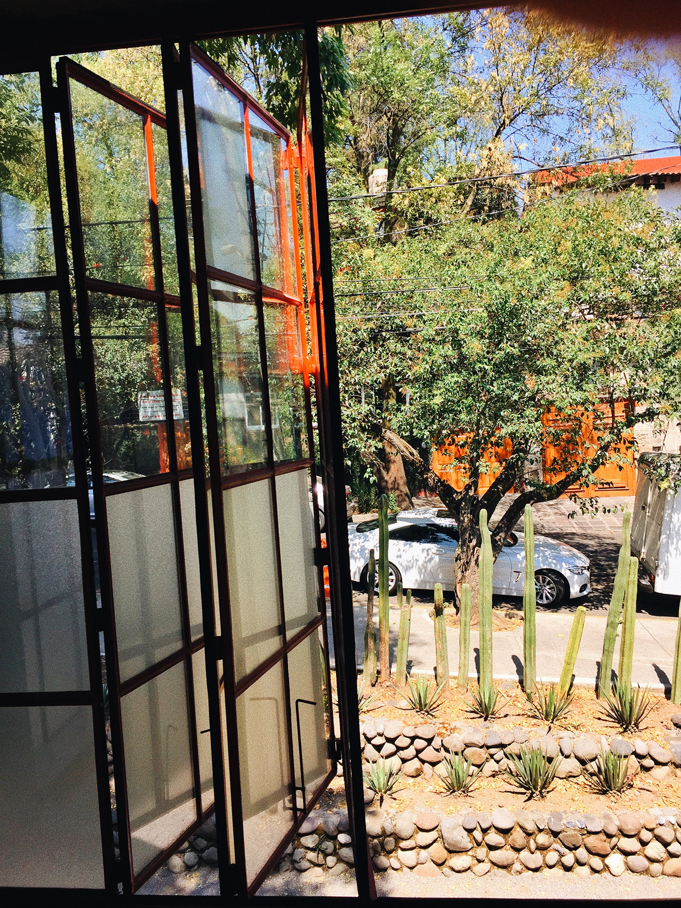 Museo/casa de Frida Kahlo y Diego Rivera-9