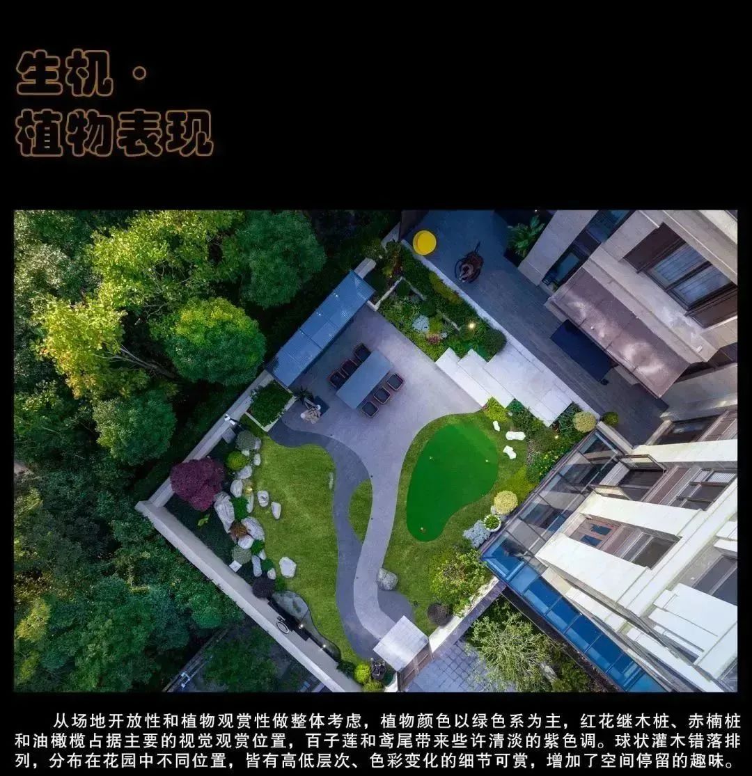 云杉庭园 · 极简主义的庭院设计之美-13