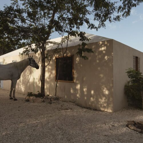 Galopina Wild House / TACO Taller De Arquitectura Contextual-22