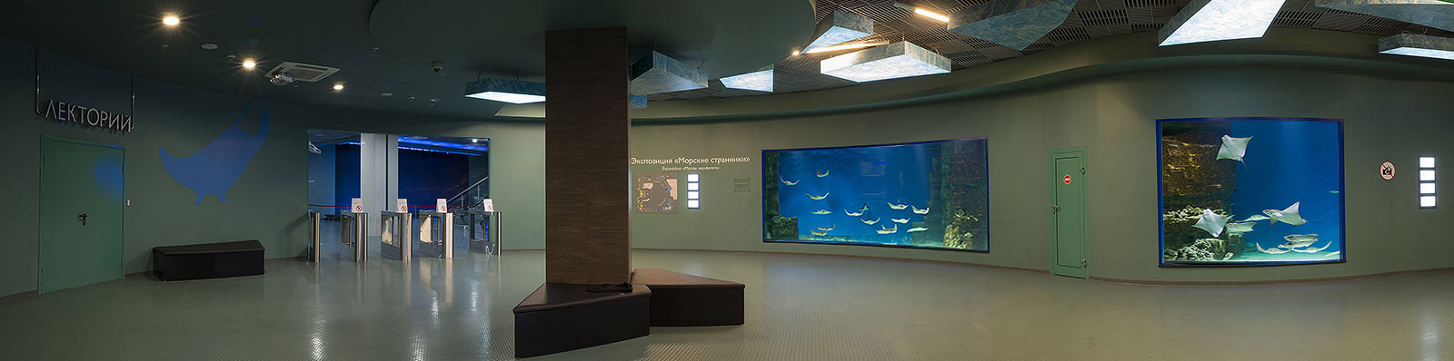 莫斯科海洋馆155立方米鳐鱼海洋水族缸-10