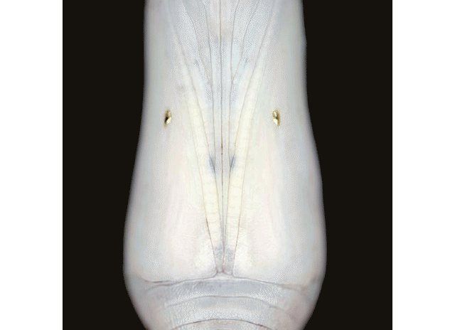 星樾山畔生活美学馆 | 自然生长，破茧化蝶-56