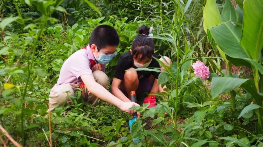 香港KFarm · 高科技农场的绿色奇迹丨中国香港丨陈启豪等-94