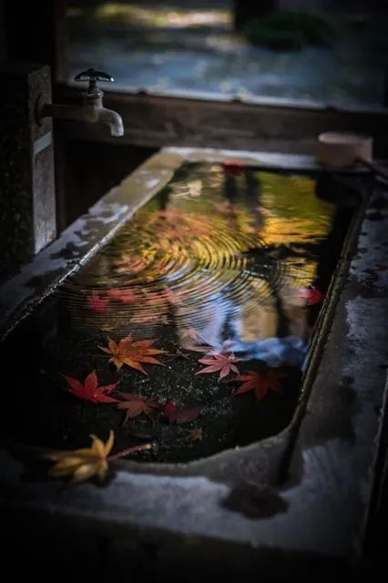 广东佛山九江别墅 | 新中式雅致空间,归家期待的美好呈现-7