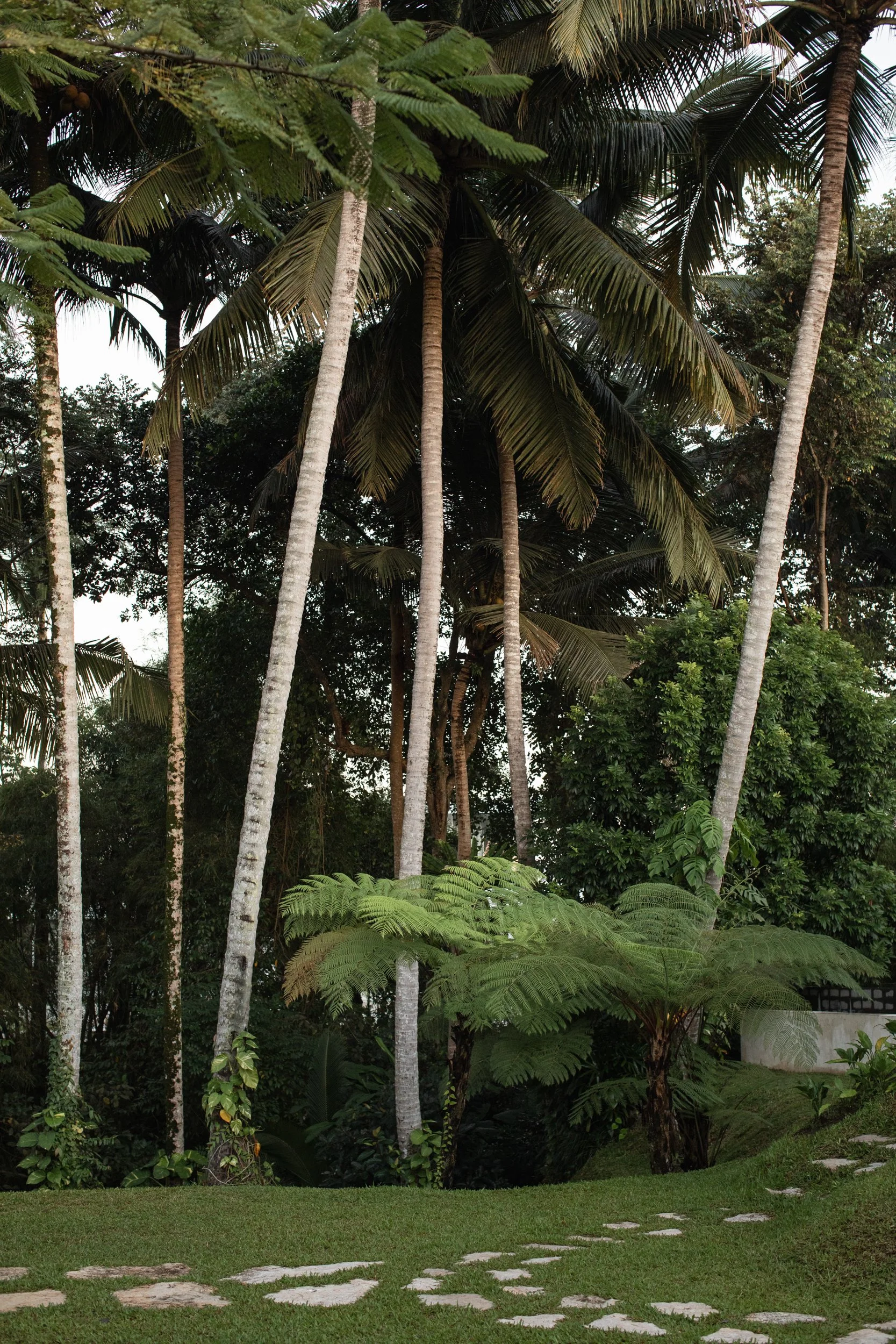 佩珍屋（注：Pejeng可能是特定地名、人名等，佩珍是根据发音大致音译，若有更准确背景信息可进一步精准翻译） 丨印度尼西亚巴厘-48