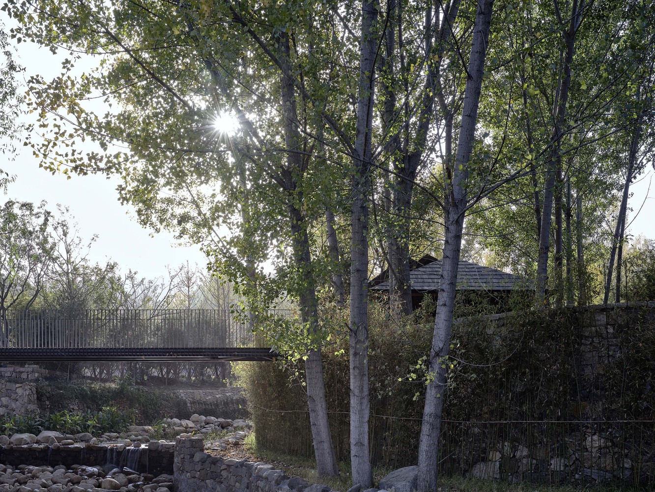 山东泰山东溪门村复兴项目 · 百年乡村的针灸式建筑更新-25