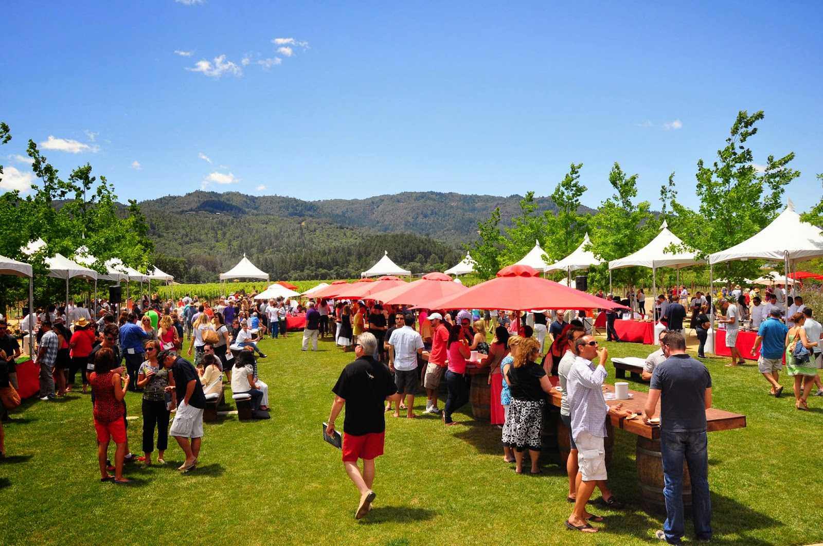 HALL 葡萄酒庄园景观设计丨詹姆斯·伯内特-12