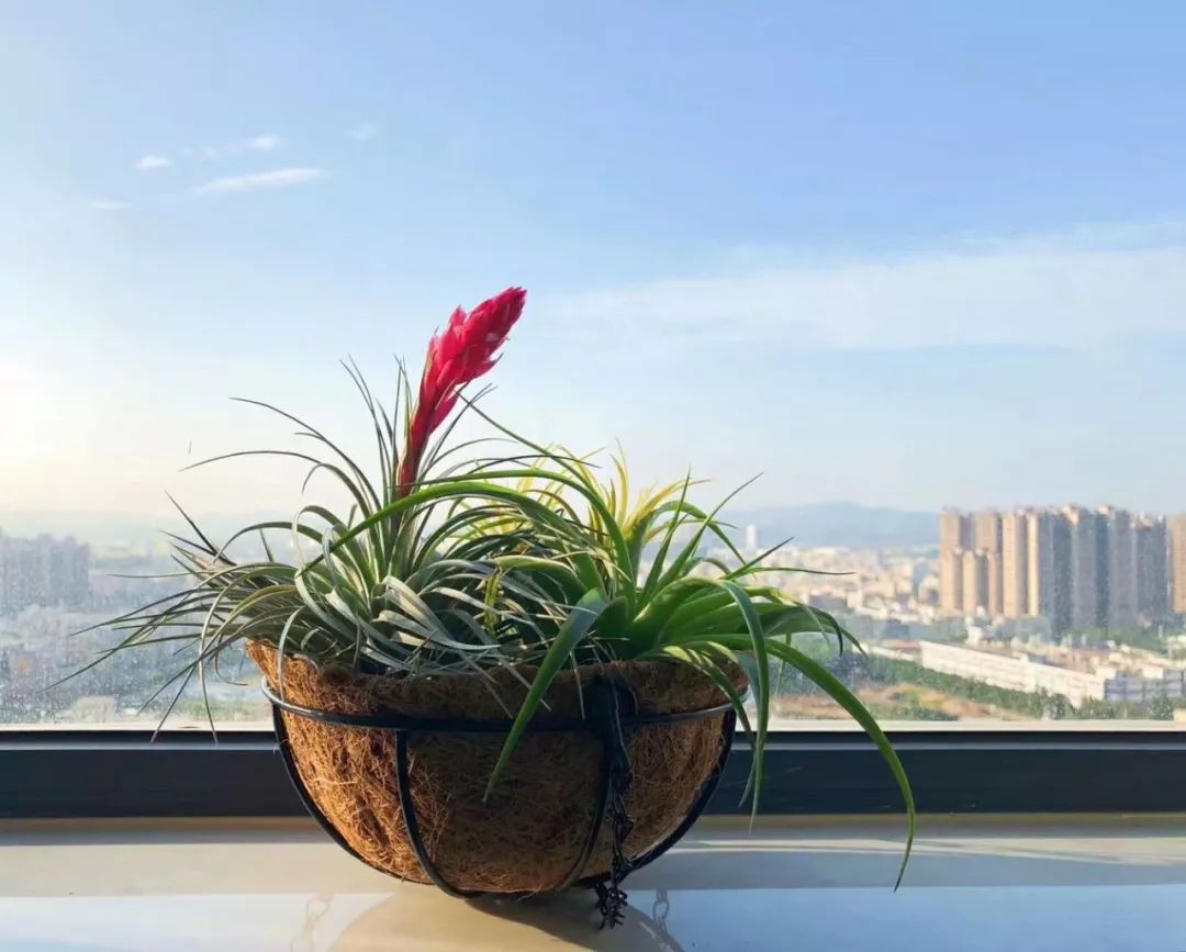 广州 115㎡女孩之家,纯软装打造文艺生活空间-57