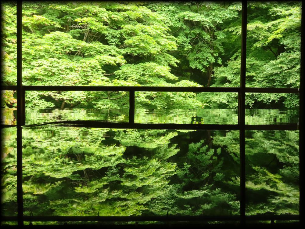 瑠璃光院（旧高级旅馆「喜鶴亭」）丨日本京都-55