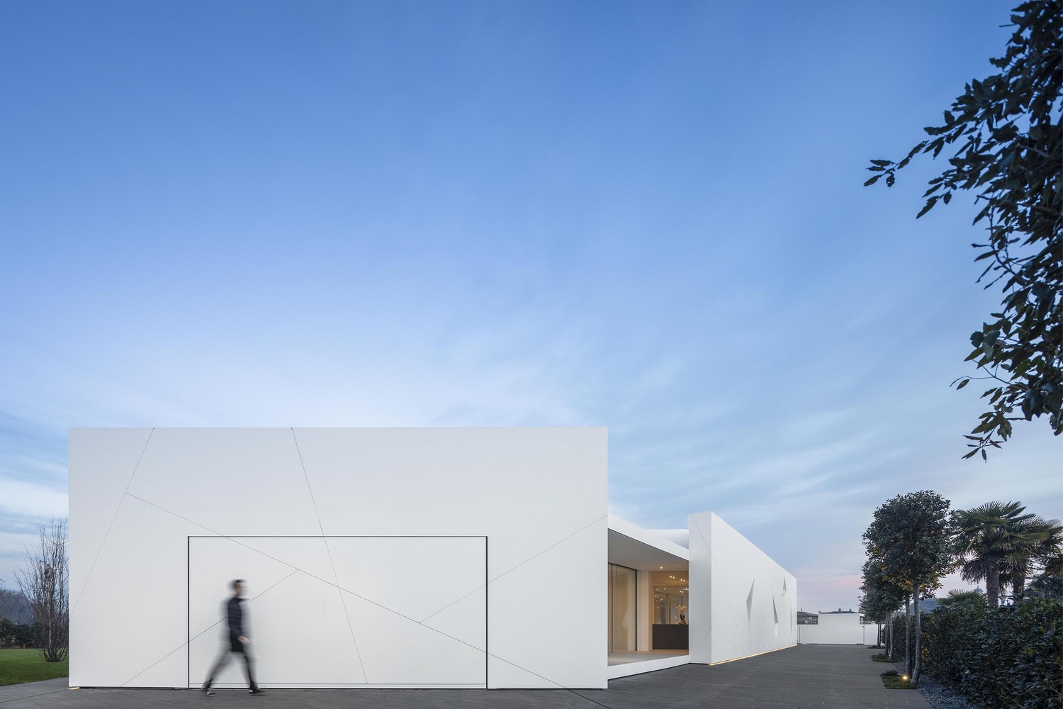 Diamond Tree（钻石树）-1