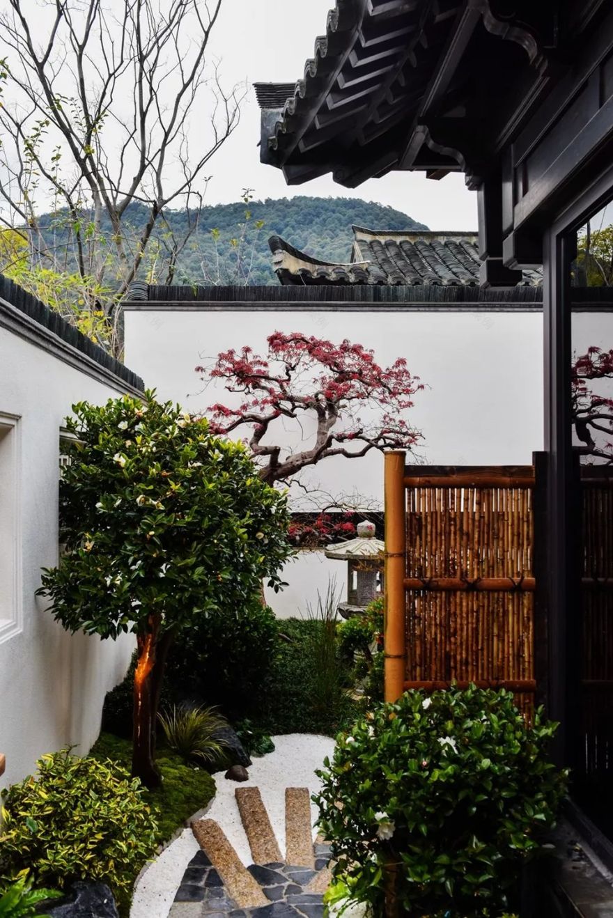 草月流打造禅意花园,呈现桃李春风美景-4