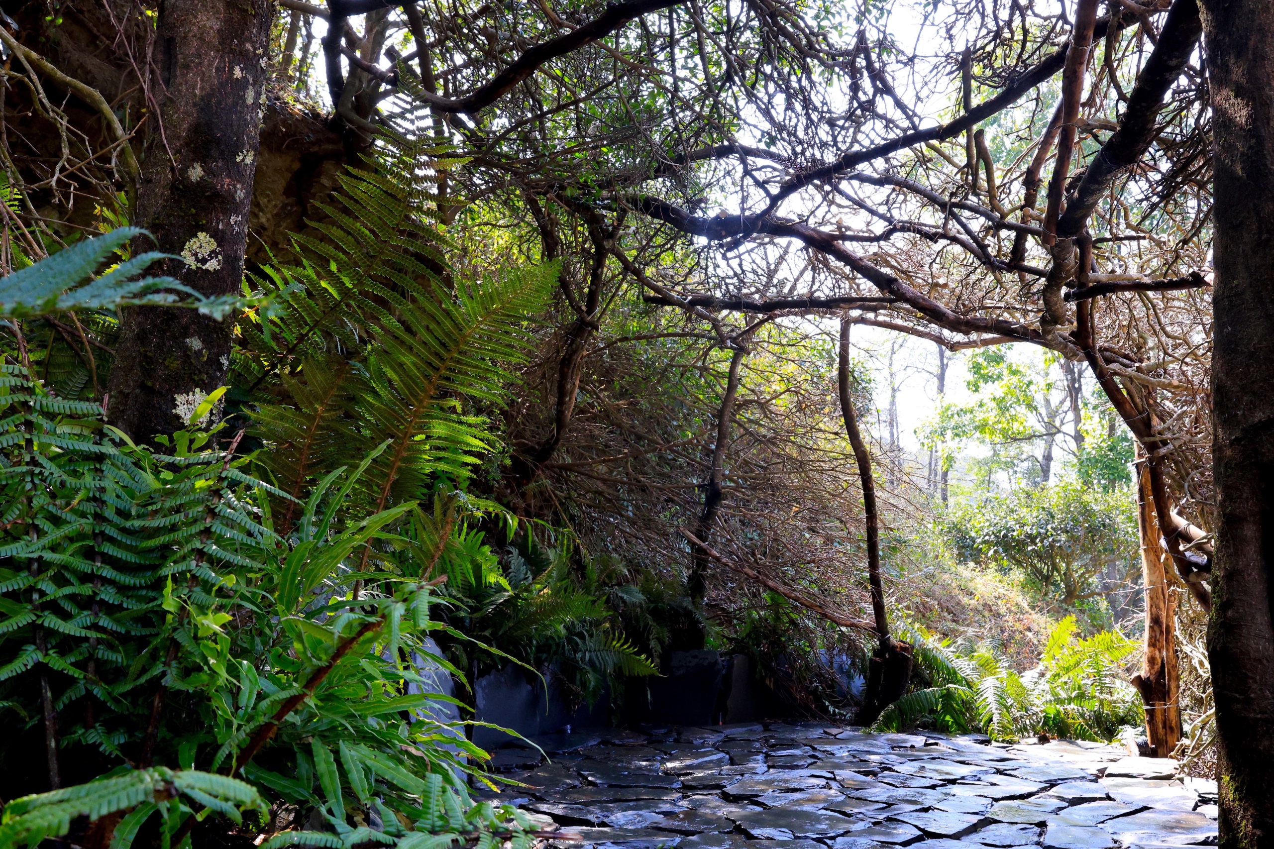 mooool木藕设计网 - 专业景观设计平台-21