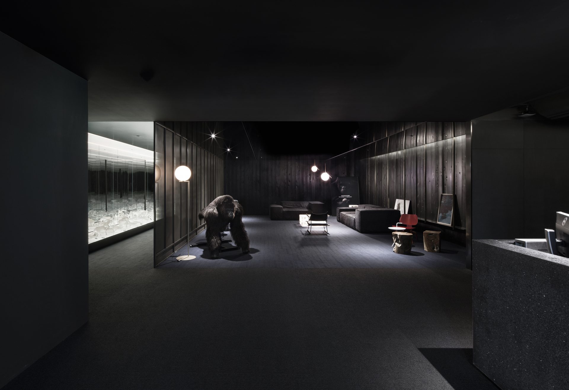 DEXTER STUDIOS WGNB-16