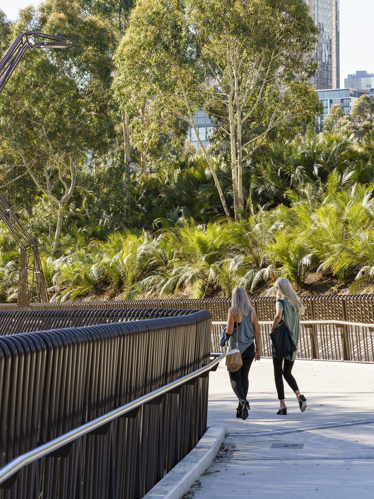 Tanderrum Pedestrian Bridge  John Wardle Architects  + NADAAA + Oculus-31