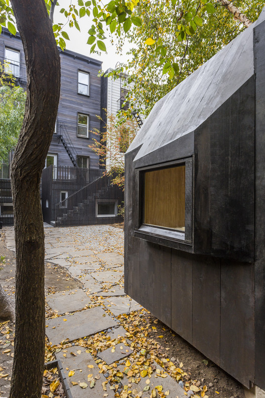 纽约布鲁克林自然景观别墅扩建-2