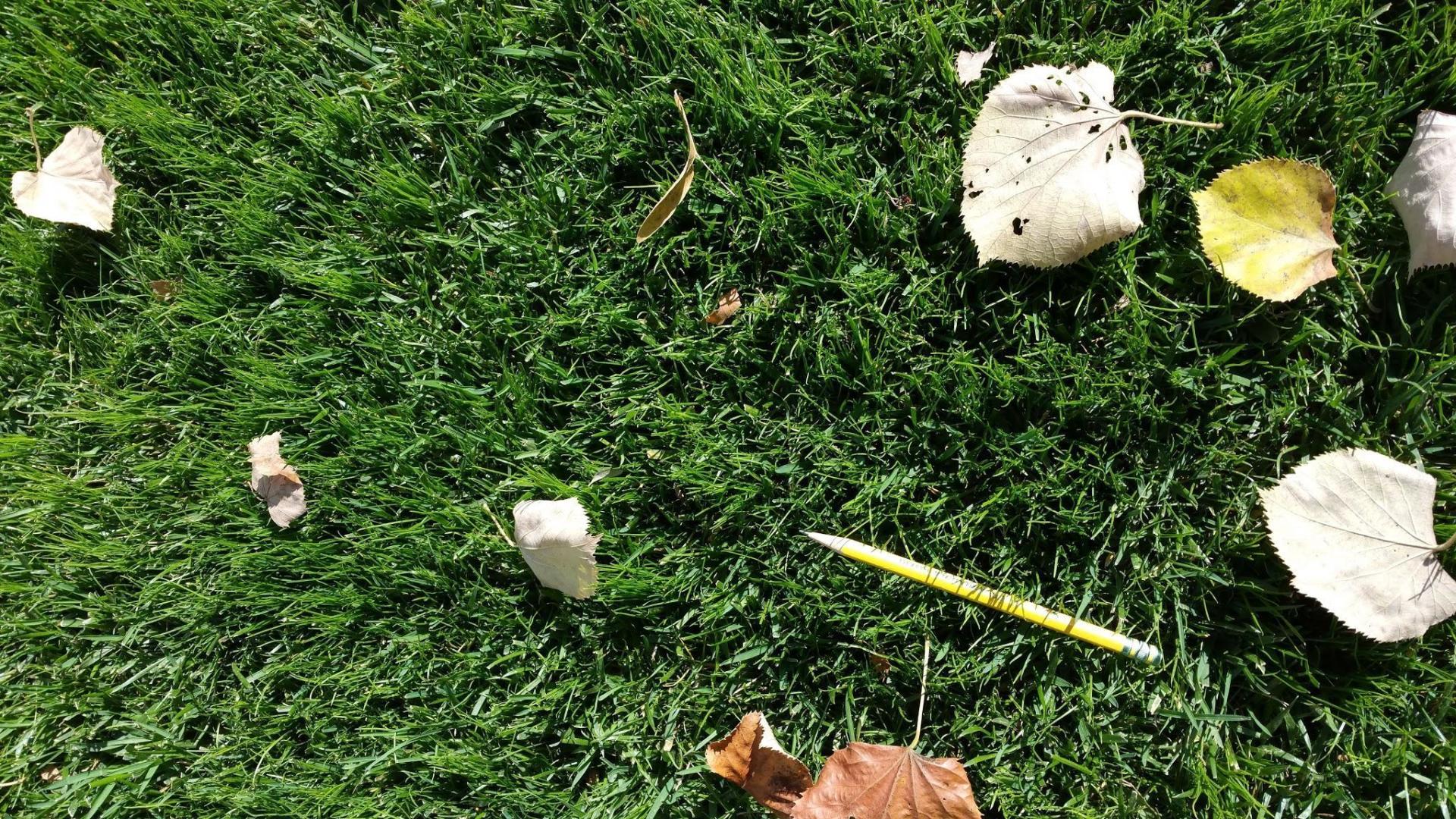 丨美国宾夕法尼亚丨Chanticleer staff and consultants-18