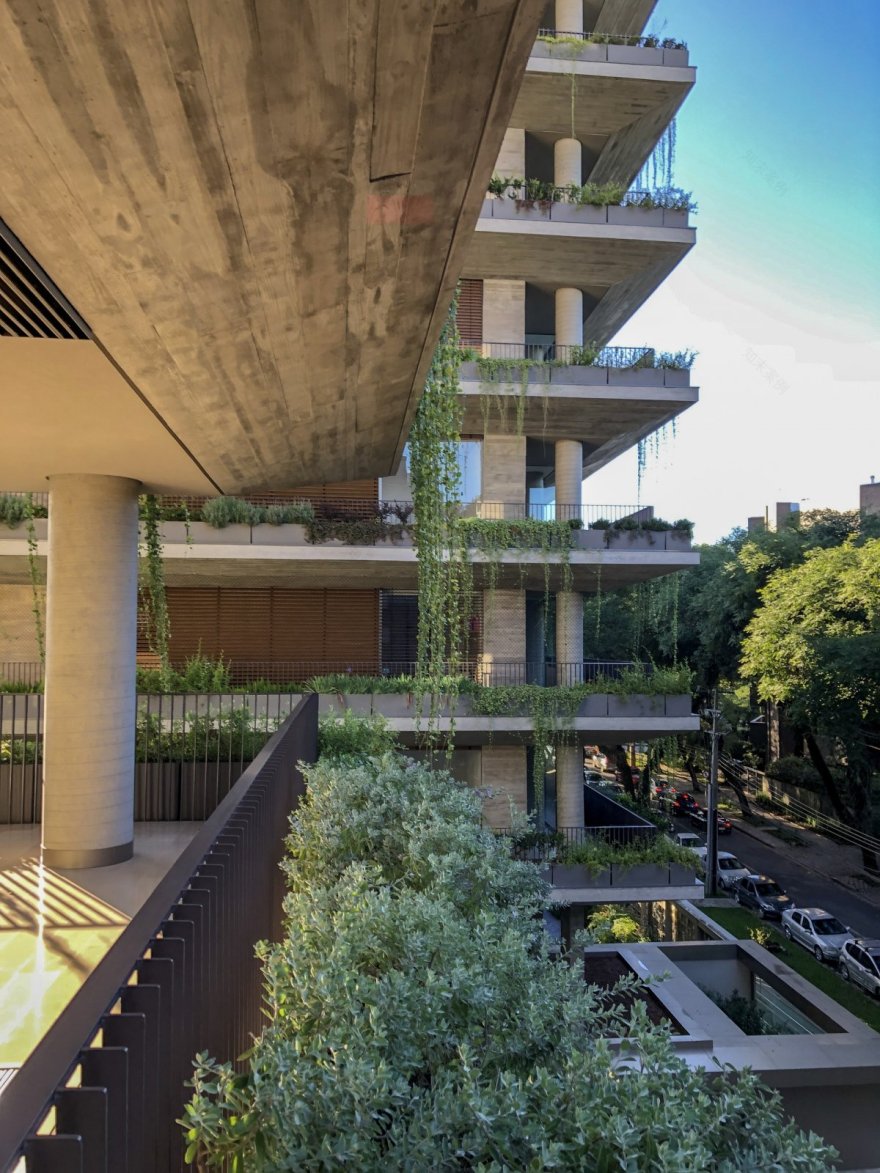 伊卡罗·雅尔丁斯·达·格拉西奥萨大厦丨Studio Arthur Casas-14