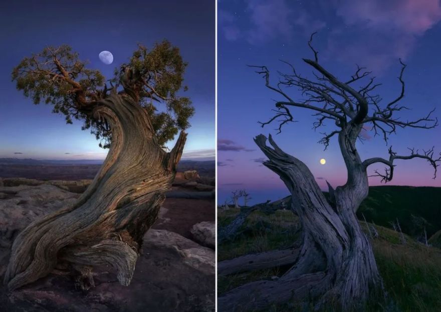 莫干山秘境杉林,尽享自然之美-63