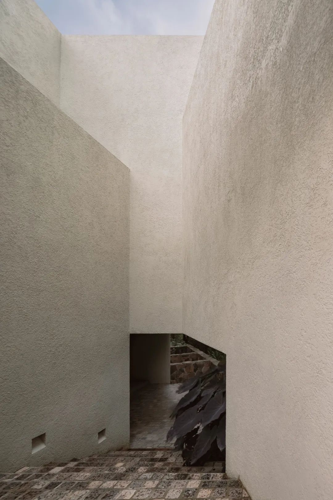 COA Arquitectura 建筑事务所丨墨西哥瓜达拉哈拉-5