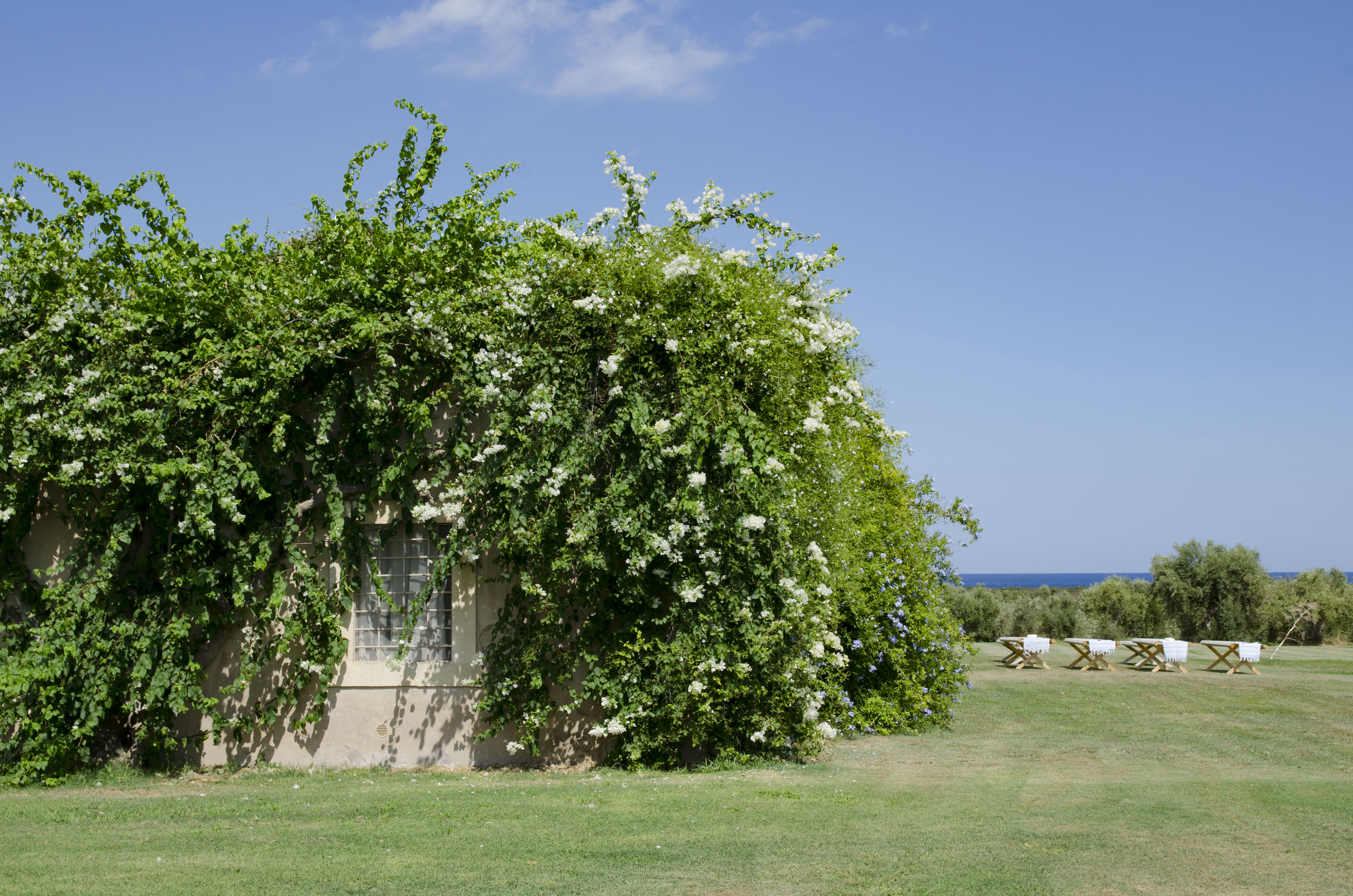 Il Baglio di Vendicari乡村民房-14