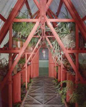 植物入侵博物馆丨Cecilia Avendaño