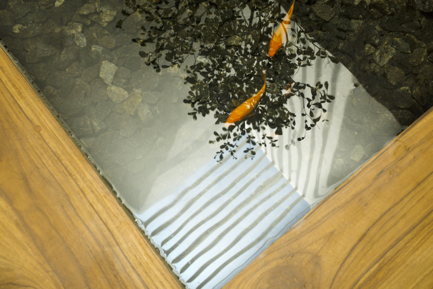 印度 Perinthalmanna 零工作室住宅改造-58